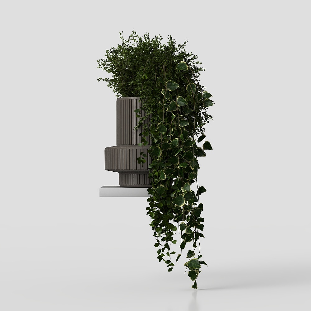 Indoor Hanging Plants in rusty Concrete Pot Set 03