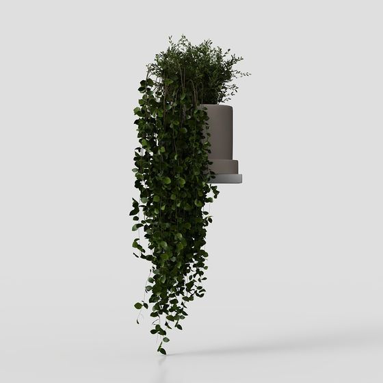 Hanging Plant Rack 3D model
