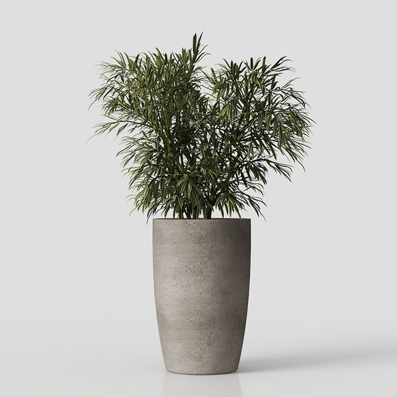 Urban Oasis Potted Plant 3D model for Modern Spaces