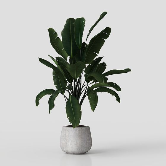 Realistic Indoor Plant Pot 3D model for Modern Spaces