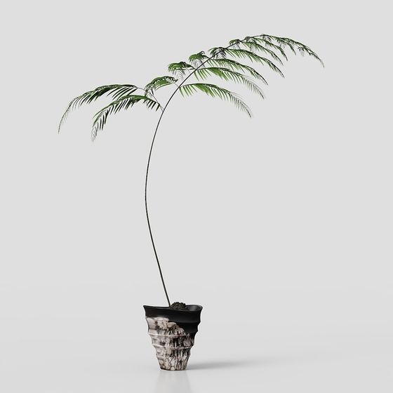 Tropical Style Potted Plant 3D Model