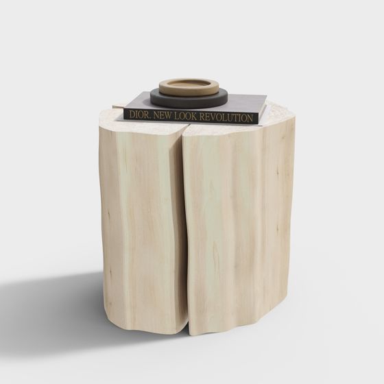 Stunning Stump Side Table 3D model