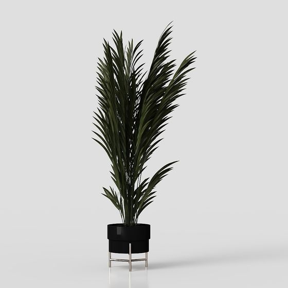 Stylish Low-Poly Plant Pot 3D Model for Modern Spaces