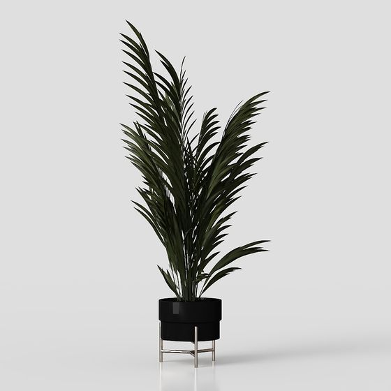 Urban Oasis Low Poly Plant 3D model
