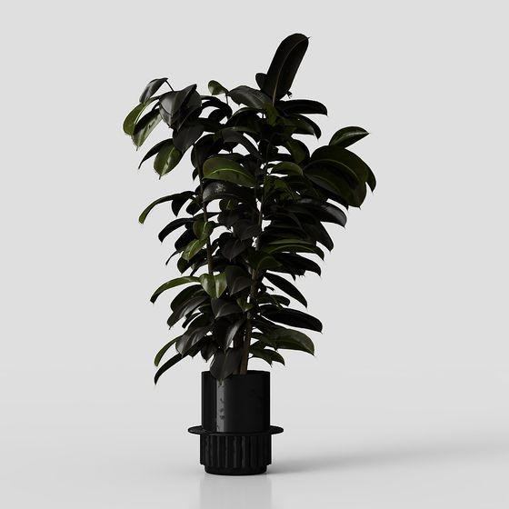 Urban Green Plant 3D Model for Modern Spaces