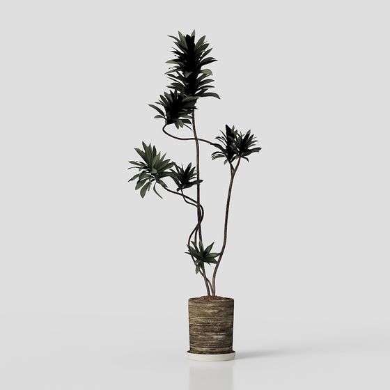 Soul of the Forest Low Poly 3D Model for Creative Projects