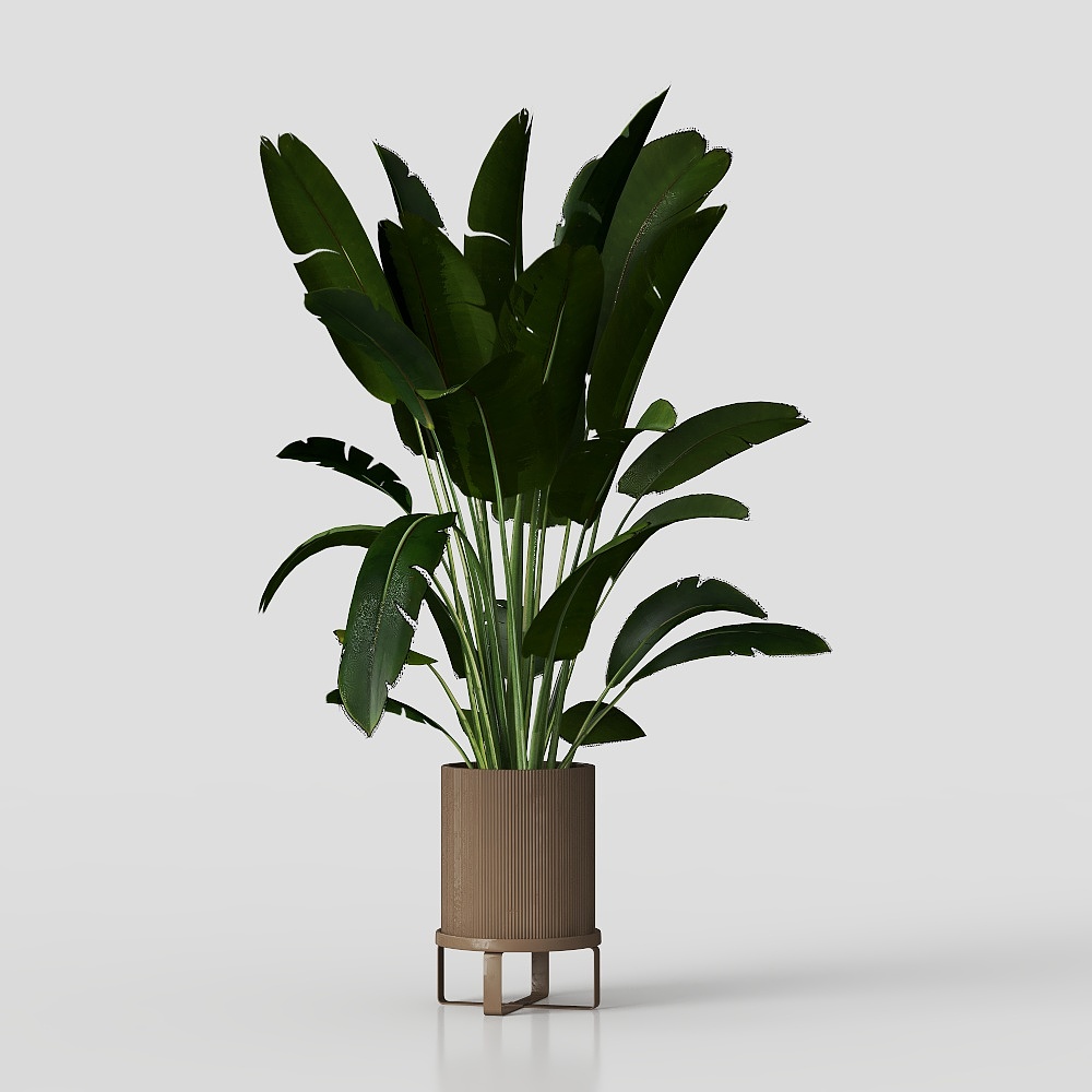 Indoor Plants in Ferm Living Bau Pot Large Set 04