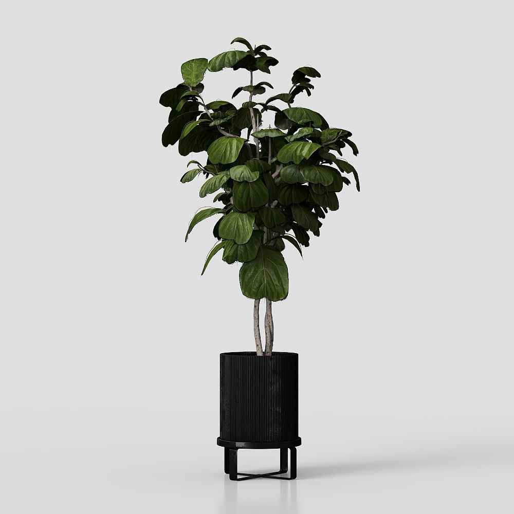 Indoor Plants in Ferm Living Bau Pot Large Set 03