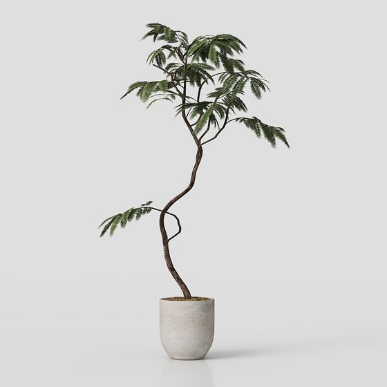 モダンホームの鉢植え植物26