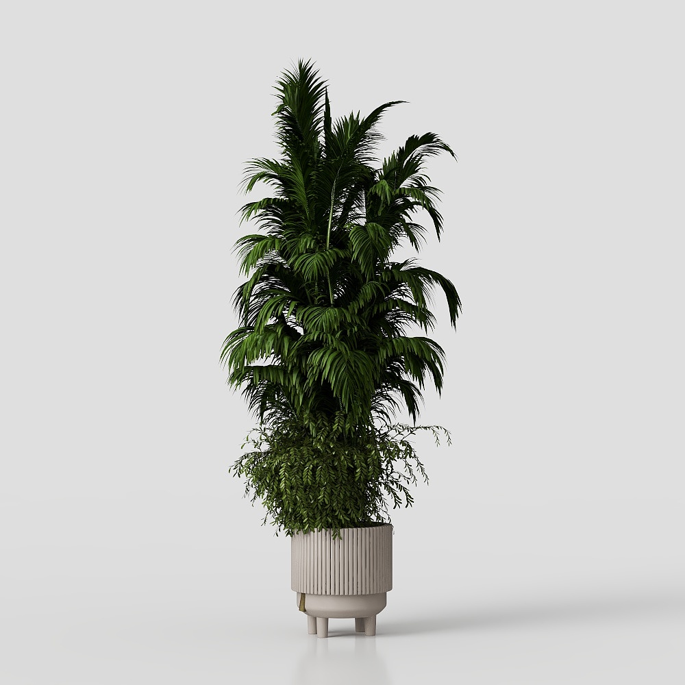 Indoor Plants in Ferm Living Bau Pot Large Set 02
