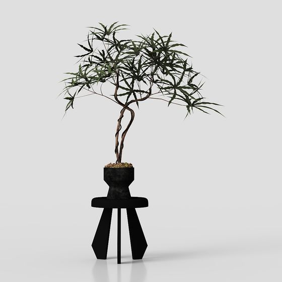Mini Potted Plant 3D model for Creative Projects