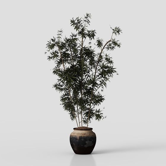 Stylish Bamboo Potted Plant 3D model for Creative Spaces