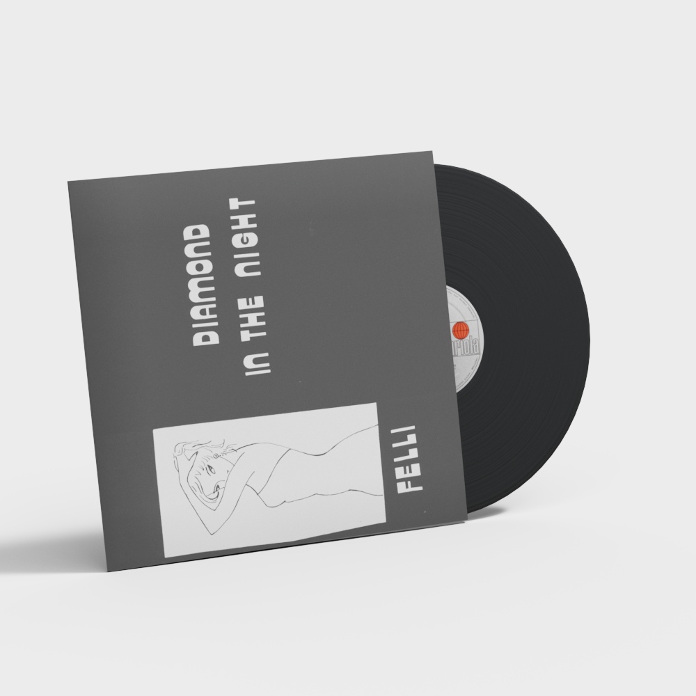 Diamond in the Night 3D Model Cover Art