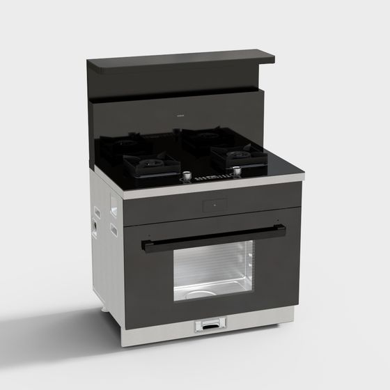 一體式爐具 9DC11A