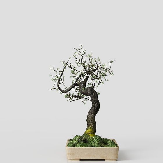 Elegantly Crafted Bonsai Tree 3D Model - The Harmony of Decay and Flourish