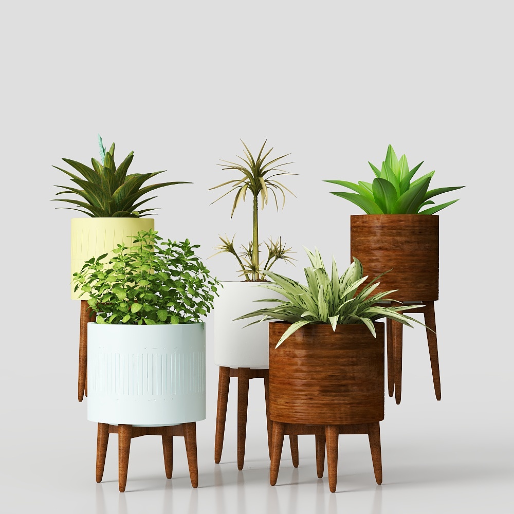 Mensola per Fiori, Muro di Fiori