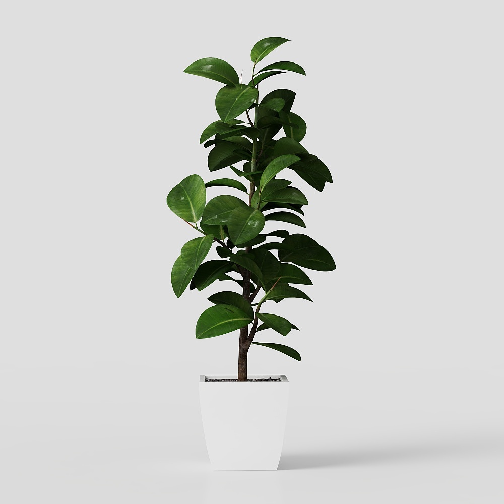 ต้นไม้ในกระถาง 019_SU8