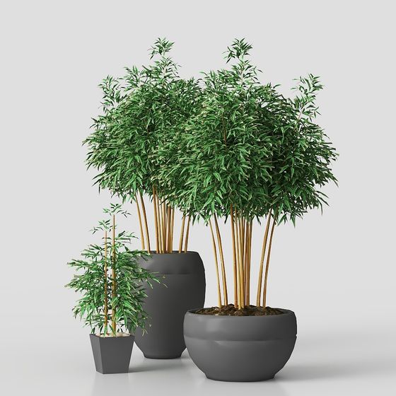 Bamboo Plant Pot 3D Model