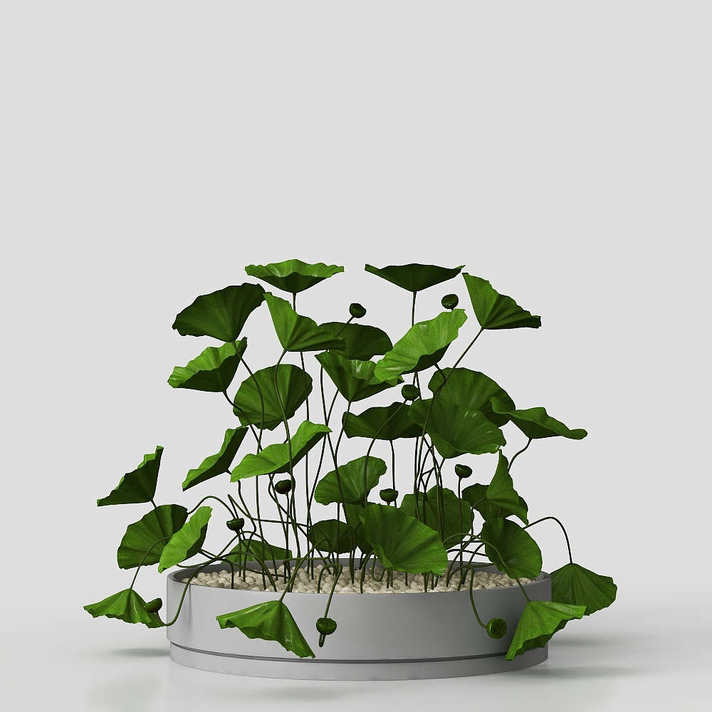 Aquatic Plant Pot 3D model for Designers and Developers
