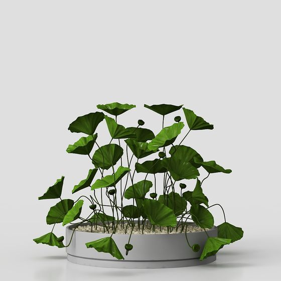 Aquatic Plant Pot 3D model for Designers and Developers