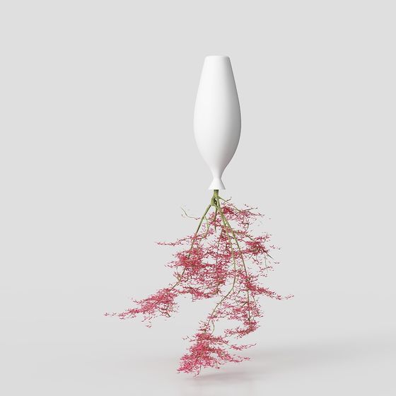 Growth Vase 3D model for Creative Projects
