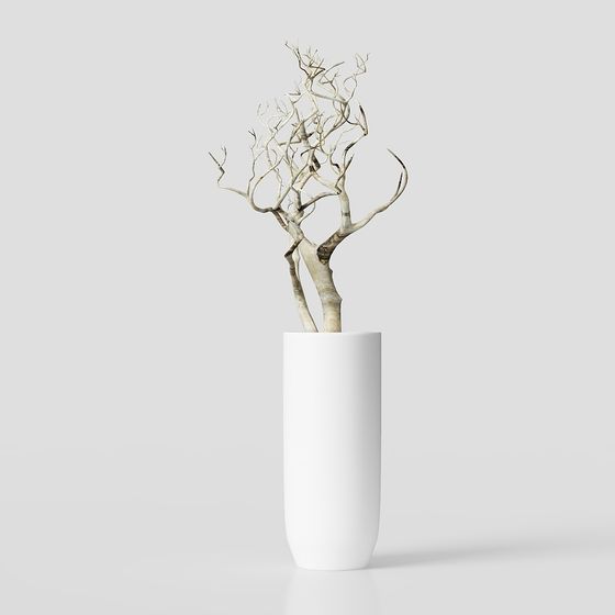 Winter Bare Branch 3D model
