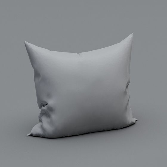 Modern Minimalist 3D Pillow Model