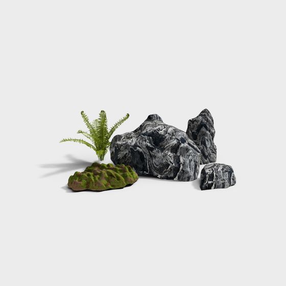 Rock and Fern 3D Model in Nature