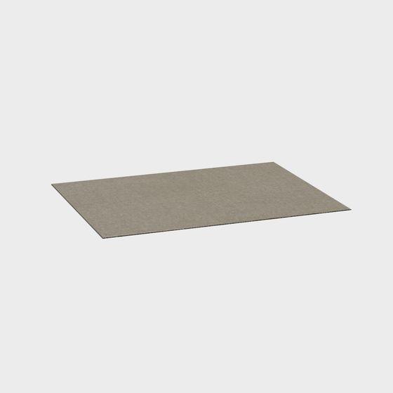 Minimalist Gray Rectangular Carpet 3D model