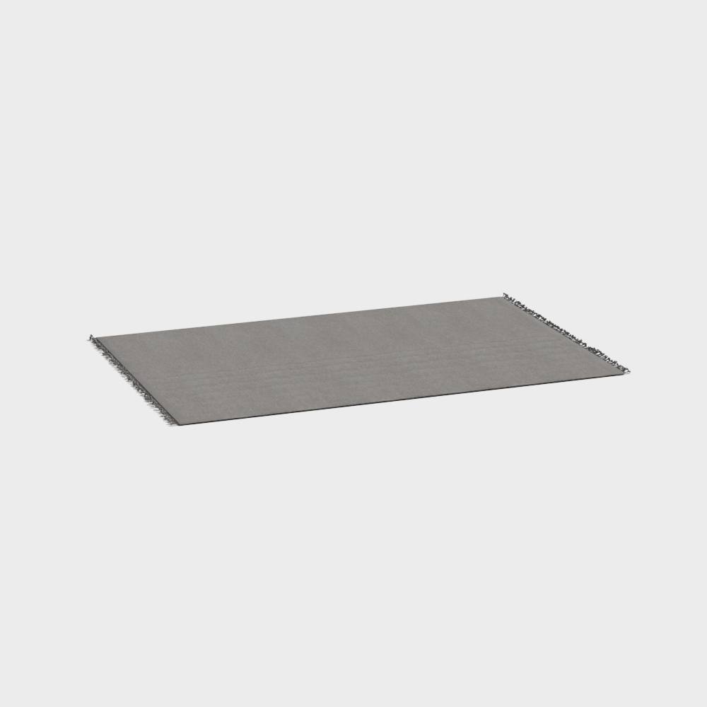 Urban Wanderer Gray Carpet 3D model