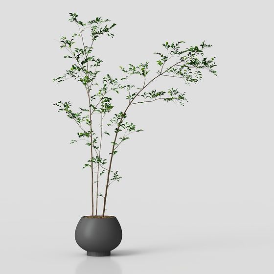 Stunning Indoor Plant 3D model for Creative Projects