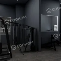 alt
