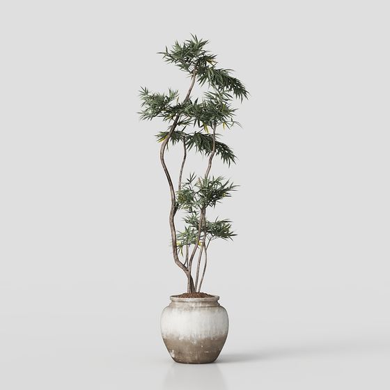 Elegant Bamboo Grove 3D model