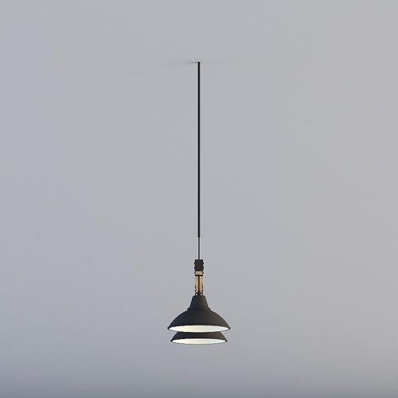 Urban Elegance Chandelier 3D model