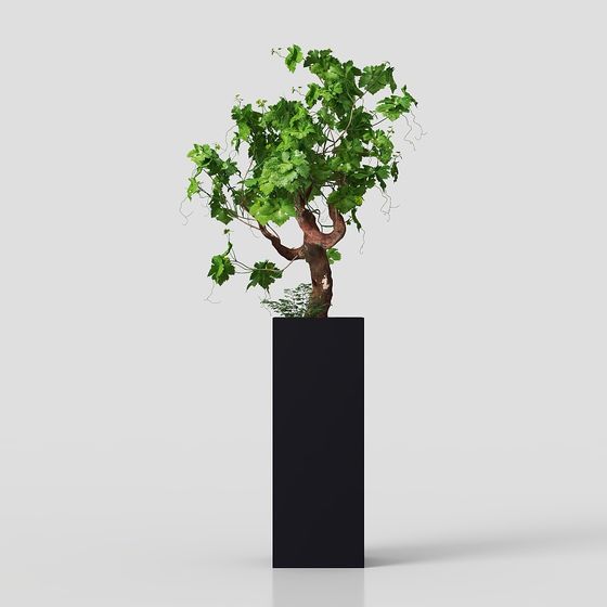 Lifelike 3D Grapevine Tree Model