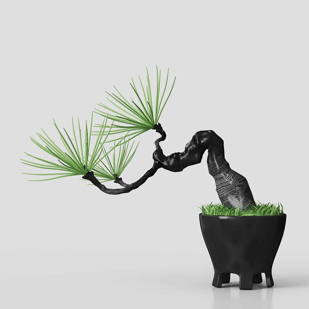 New Chinese-Style Bodhi Pine Bonsai