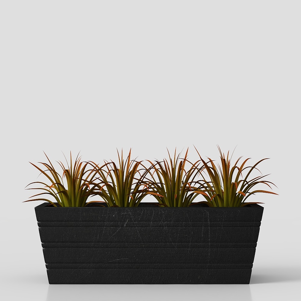 Planta de interior en maceta