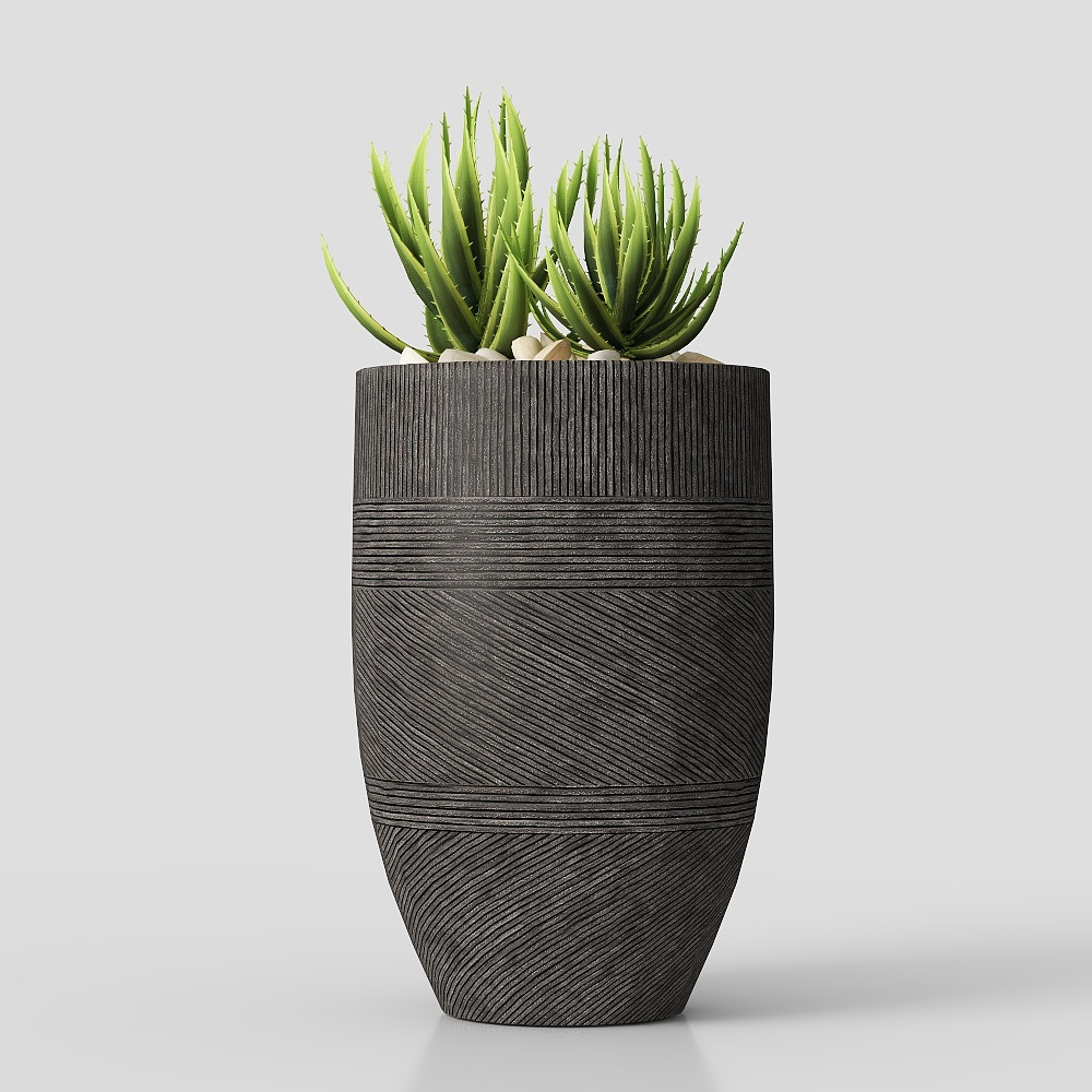 Planta de interior en maceta