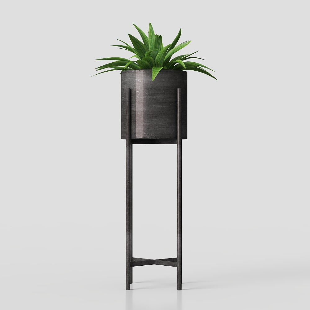 Decorative Potted Plant