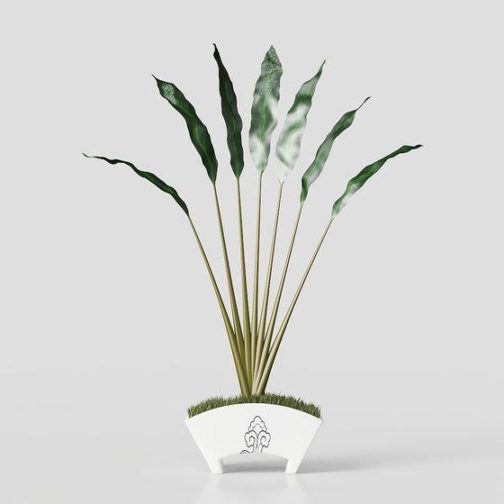 Elegant Green Plant 3D model
