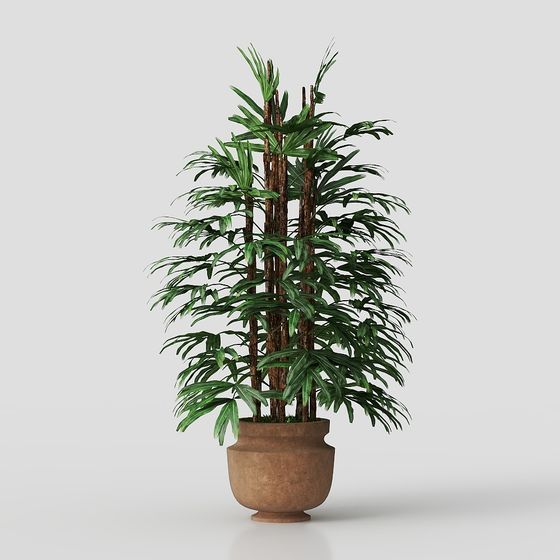 Tropical Style Potted Plant 3D model