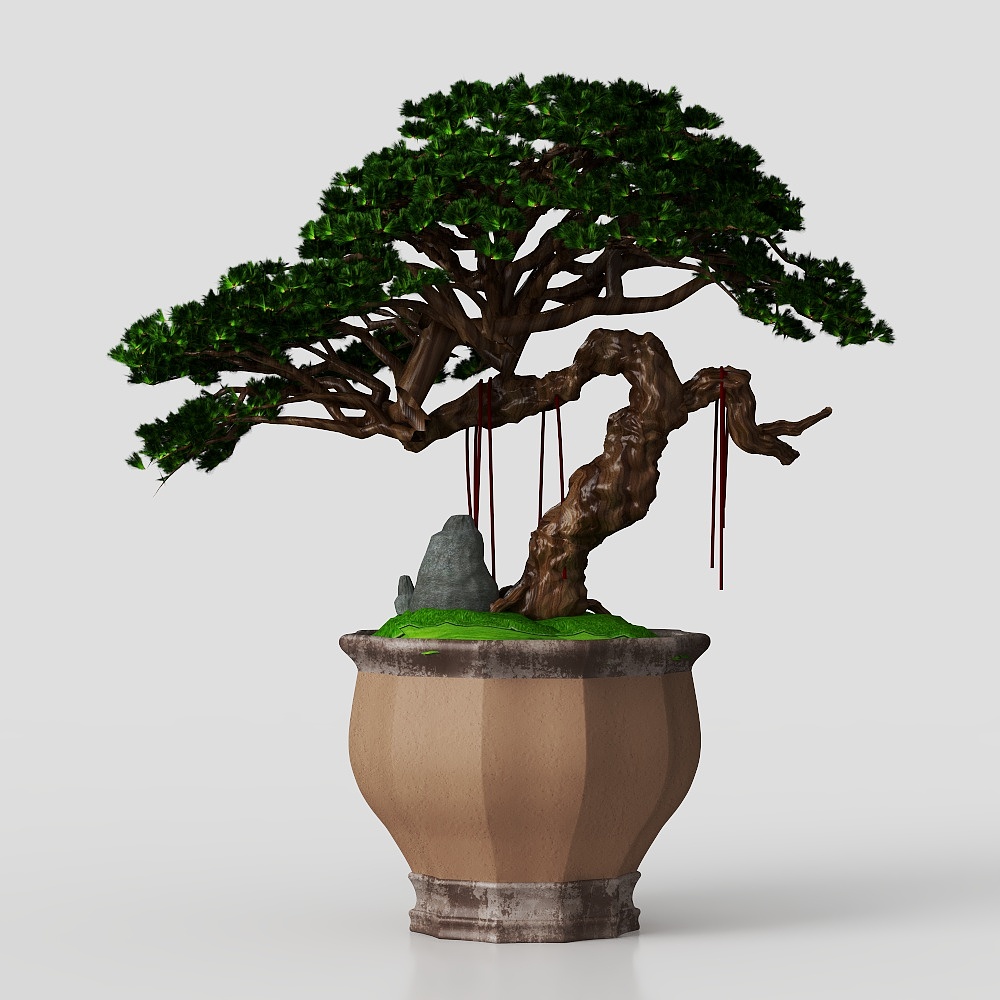 Realistic Bonsai Art Tree 3D model