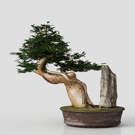Beautiful Ancient Tree Bonsai 3D model for Creative Projects
