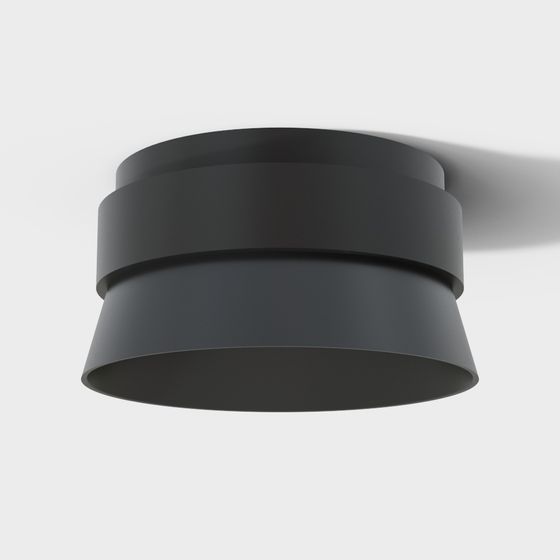 Minimalist Ceiling Light 3D model