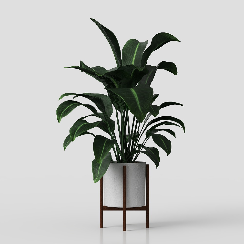 Lush Indoor Plant 3D model for Vibrant Decor