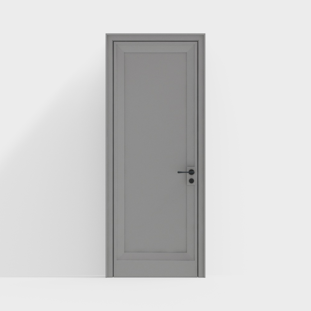 Modern Single Door