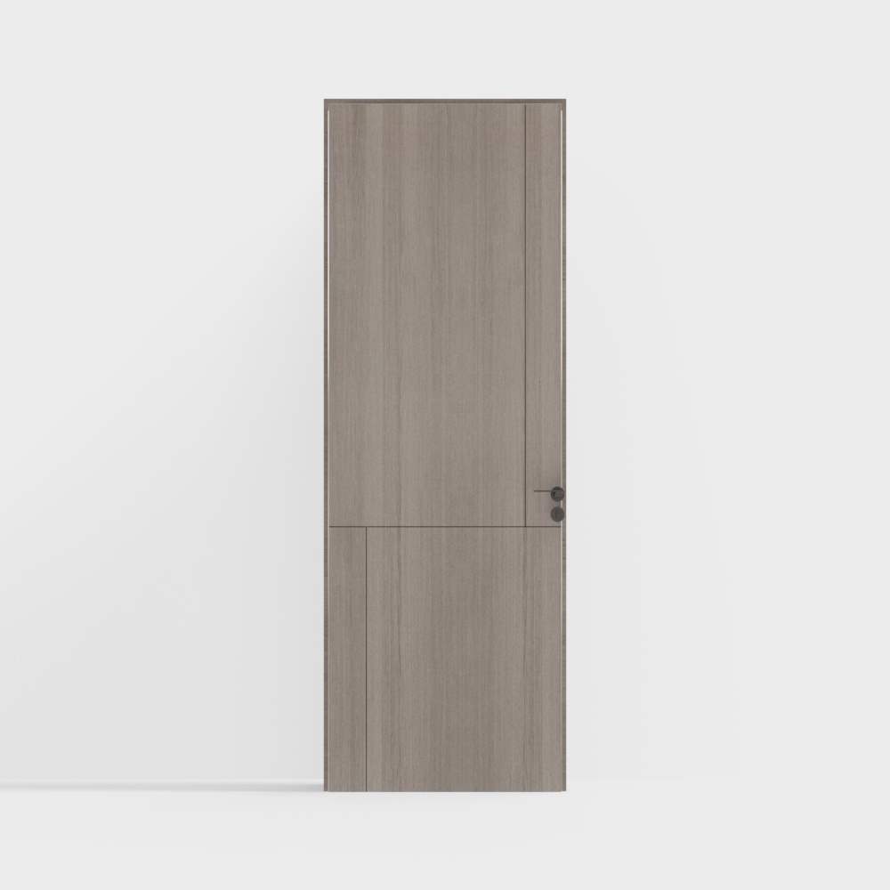 Modern Single Door