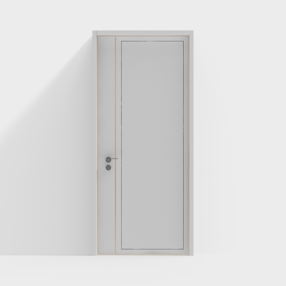 Modern Single Door