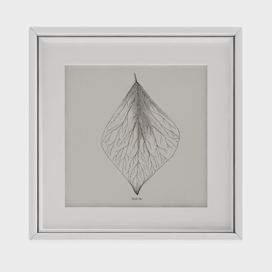 Aurora Leaf 3D model for Creative Projects
