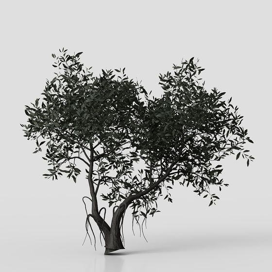 Realistic Olive Tree 3D Model